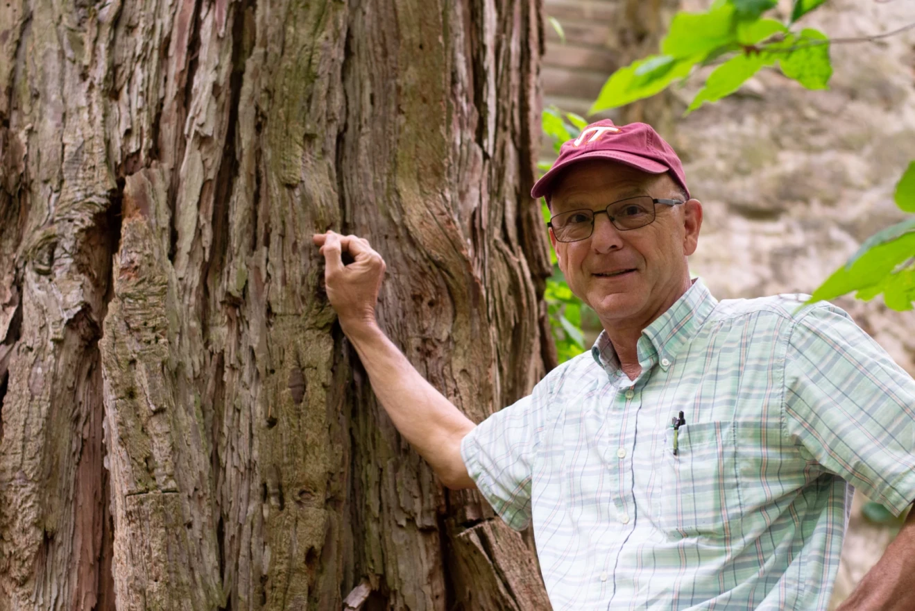 Bennett Saunders (in a Virginia Tech hat) stands near a large, old tree known as the Northern white-cedar.
